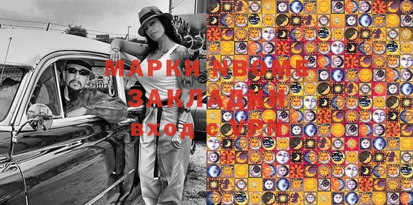 шишки Приозерск