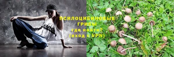 спайс Протвино