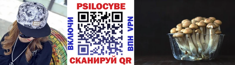 Псилоцибиновые грибы мицелий MEGA зеркало Болотное
